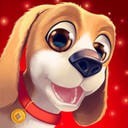 hi vp n下载
