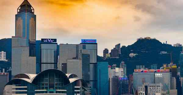 517加速器 国外网站