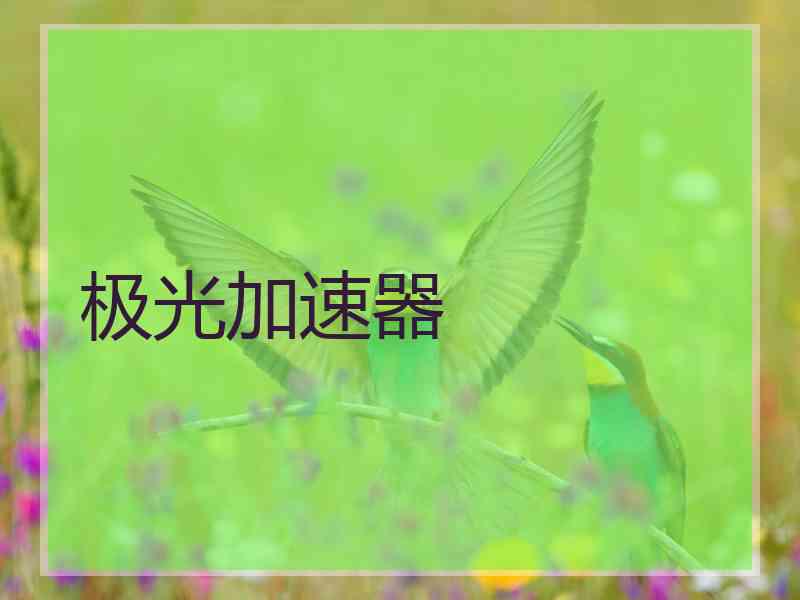 极光加速器